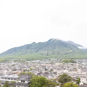 注文住宅と分譲住宅の違いは?諫早市・大村市で住宅を購入するときの注意点のサムネイル