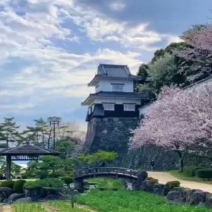 資料請求･お問い合わせお待ちしています！✨のサムネイル